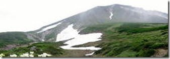 （添えた山の写真は、大雪山の旭岳、この写真を撮った場所付近に、イソツツジが見られた）