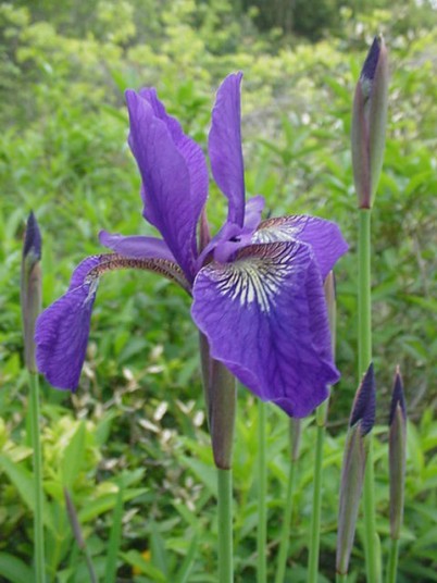 A@2007.6.20