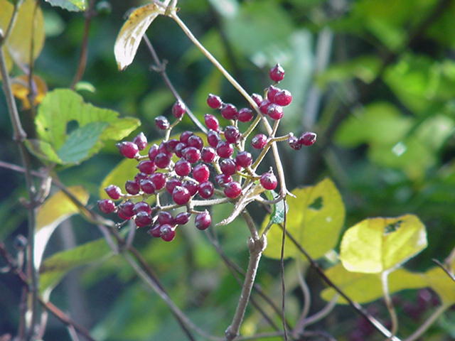 K}Y~@2008.11.5