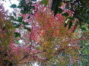 CnJGf@2006.12.25