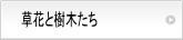 ԂƎ؂