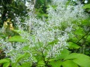 }oAI_@2008.5.21