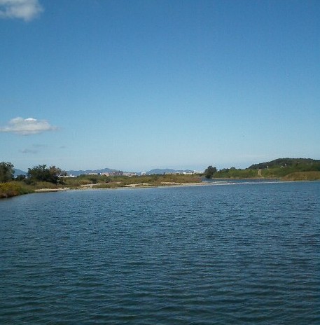 （写真-勝浦川）