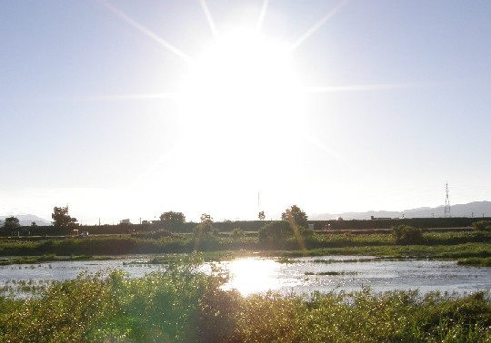（写真-鮎喰川）