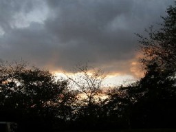 夕焼け
