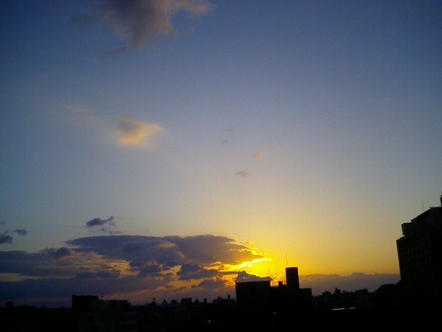 朝