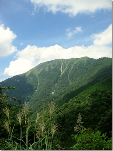 （伊吹山の中腹から山頂を見る）