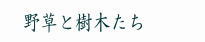 草花と樹木たち