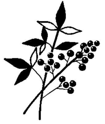 （主の２０１９年１０月３０日に）