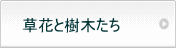 ԂƎ؂
