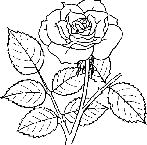 CGAXg