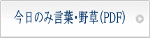 今日のみ言葉・野草PDF