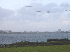 吉野川