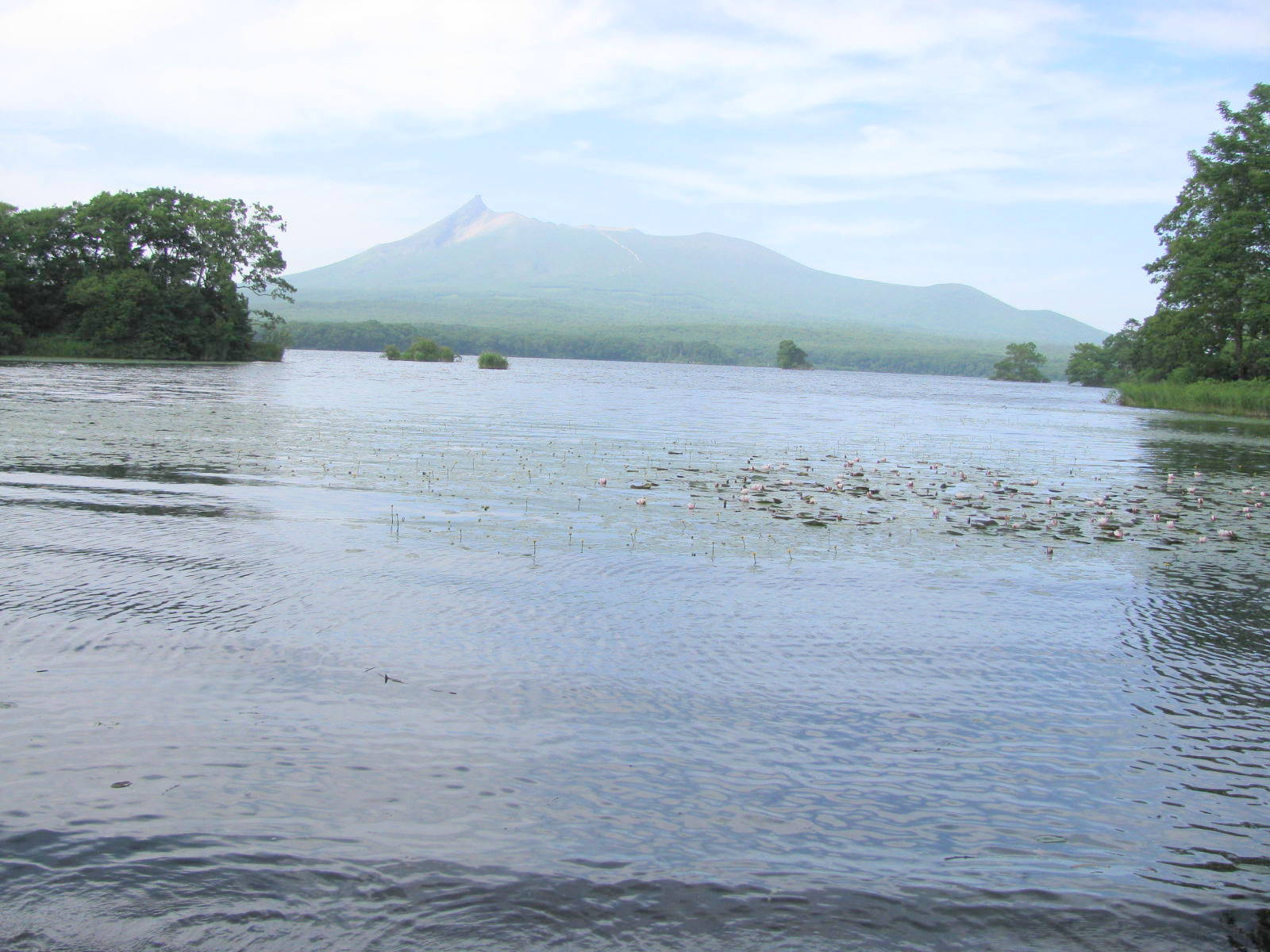駒ヶ岳と大沼（北海道）   2011.7.21