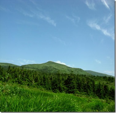 （乳頭山遠望、 上の花は、下の写真を撮影した田代平という高層湿原地帯で見られたもので、撮影地点は標高1200mほど）
