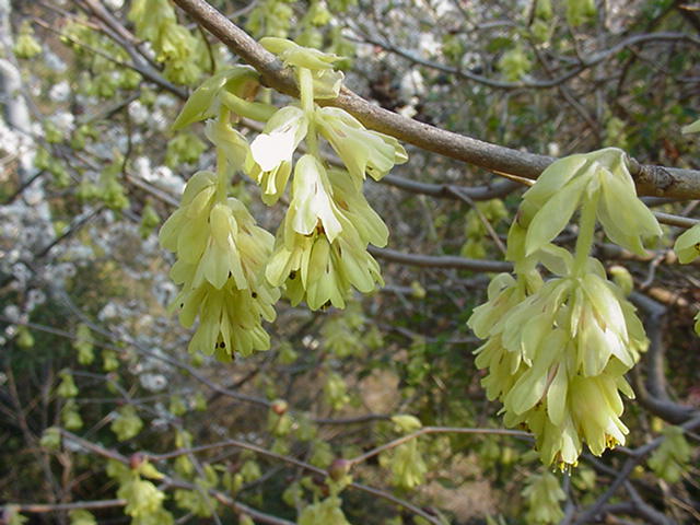 gT~YL@2006.3.22