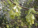 gT~YL@2008.3.22