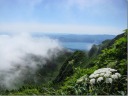 エゾニュウと田沢湖